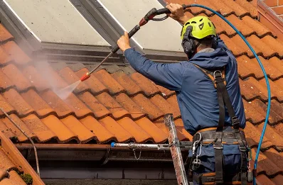 Démoussage et hydrofuge de toiture à Chapelon